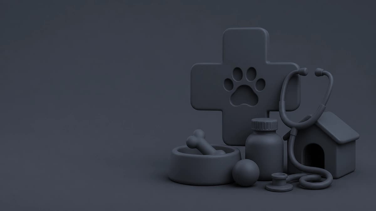 Veterinary & Pet Care — featured image