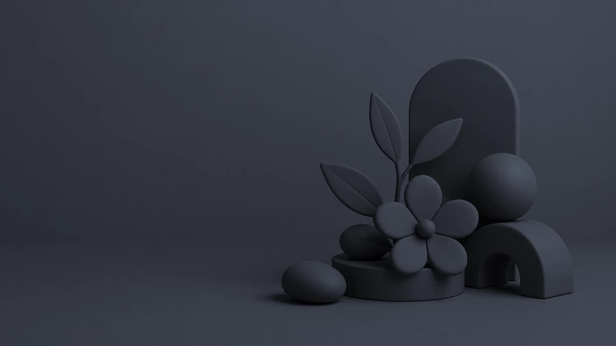 Hoa — featured image